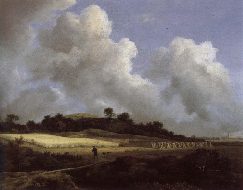Jacob van Ruisdael View of Grainfields with a Distant town oil painting picture